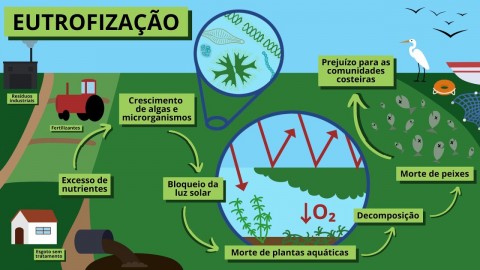 Apoio Socioambiental à Prefeitura de Planalto - SP